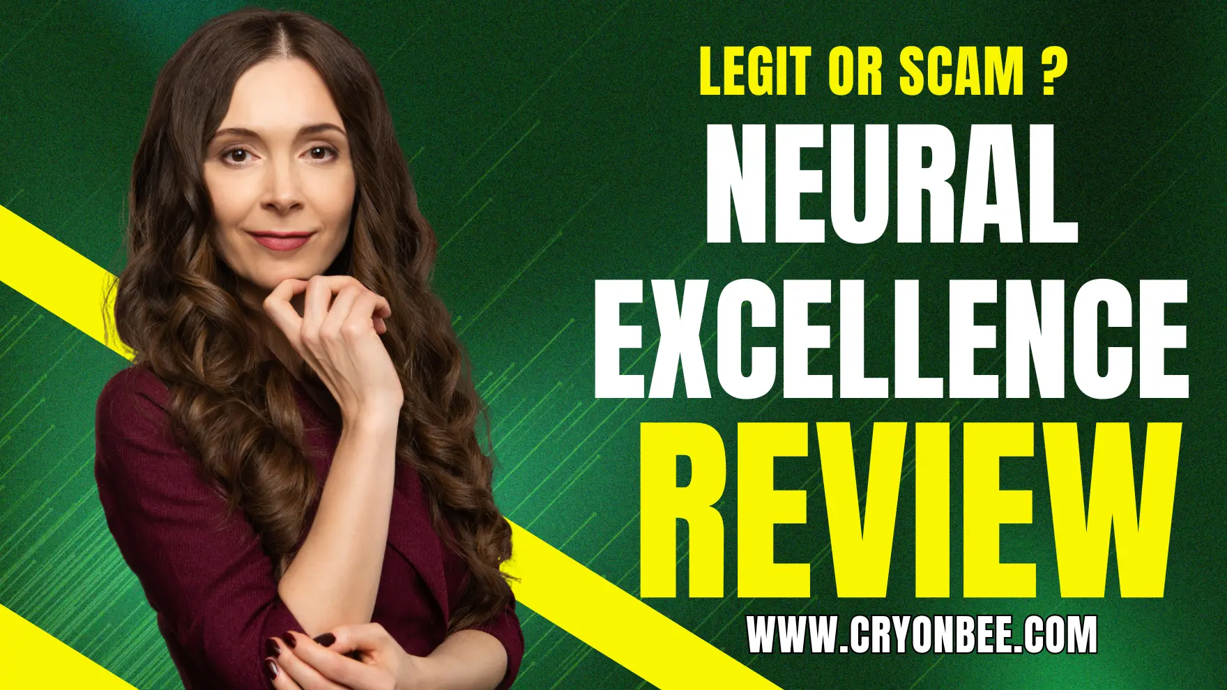 Neural Excellence Review